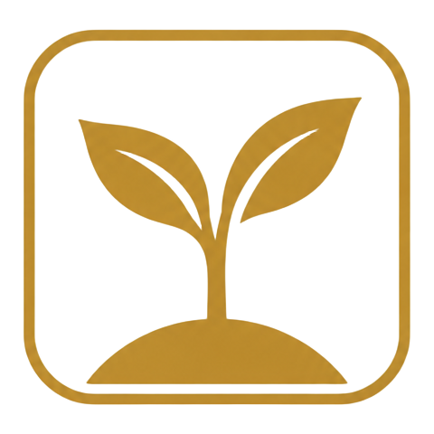 Jornada Próspera — um broto nascendo da terra